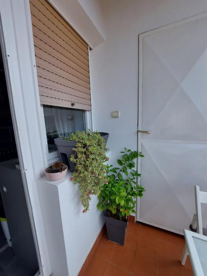 Center Danube Street Apartment Nowy Sad Zewnętrze zdjęcie
