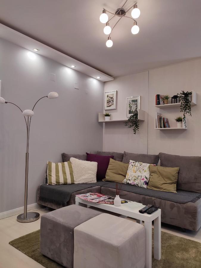 Center Danube Street Apartment Nowy Sad Zewnętrze zdjęcie
