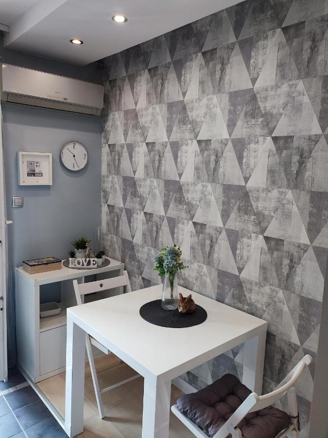 Center Danube Street Apartment Nowy Sad Zewnętrze zdjęcie