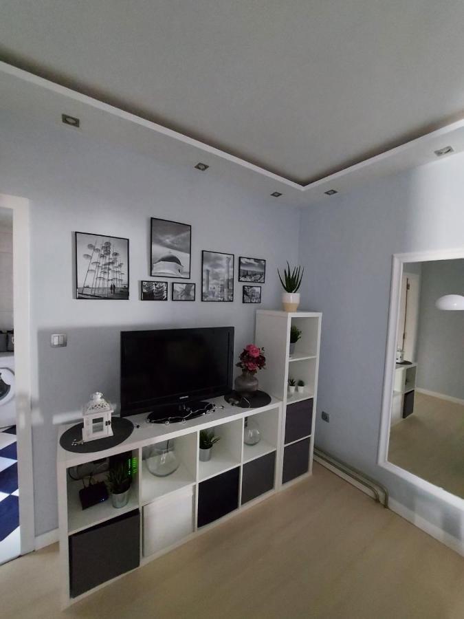 Center Danube Street Apartment Nowy Sad Zewnętrze zdjęcie